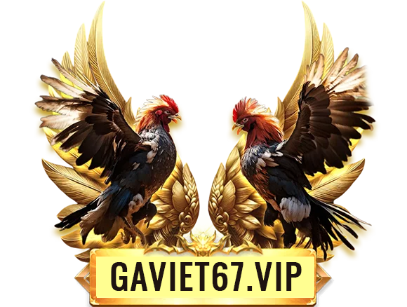 Gaviet67.vip
